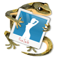 PicaSafe - Защищенные Паролем Фотоальбомы